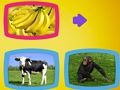 Spiel Was essen Tiere?  Online