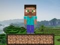 Spiel Minecraft-Überleben  Online