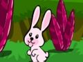 Spiel Hüpfende Kaninchenflucht  Online