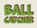 Spiel Ballfänger  Online
