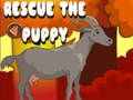 Spiel Rette den Welpen  Online
