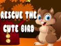 Spiel Rette den süßen Vogel  Online
