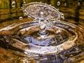 Spiel Wasserspritzende Stichsäge  Online