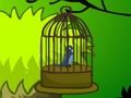 Spiel Käfigvogelflucht  Online