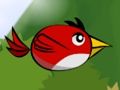 Spiel Klappe den Vogel  Online