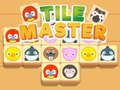 Spiel Kachel-Master-Match  Online