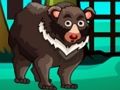 Spiel Bärenflucht  Online