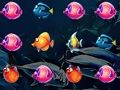 Spiel Welt der Fische  Online