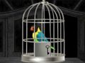 Spiel Papageien entkommen  Online