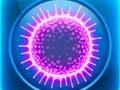 Spiel Sporen  Online