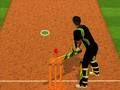 Spiel Cricket -Teig -Herausforderung Online