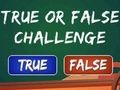 Spiel Wahr-oder-Falsch-Herausforderung  Online