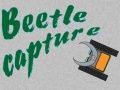 Spiel Käferfang  Online