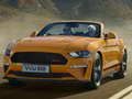 Spiel Ford Mustang California Spezialrutsche  Online