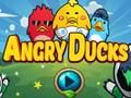 Spiel Wütende Enten  Online