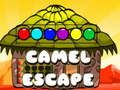 Spiel Kamelflucht  Online