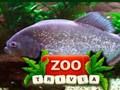 Spiel Zoo Trivia Online