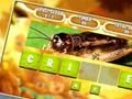 Spiel Kinder verschlüsseltes Wort  Online