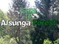 Spiel Kehre zum Alsunga-Wald zurück  Online