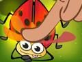 Spiel Insektenkuss  Online