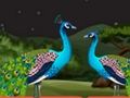 Spiel Paar Papageienflucht  Online
