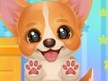 Spiel Adoptieren Sie Ihren Haustier-Welpen  Online
