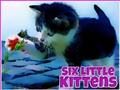 Spiel Sechs kleine Kätzchen  Online