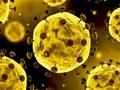 Spiel Coronavirus-Folie Online Spiel Coronavirus-Folie Online
