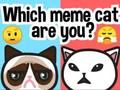 Spiel Welche Meme-Katze bist du?  Online