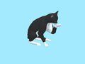 Spiel Cat Escape: Spiele eine hungrige Katze  Online