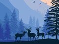 Spiel Landschaftsparadies versteckt  Online