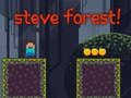 Spiel Steve Wald  Online