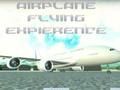 Spiel Flugzeugflugerfahrung  Online