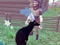 Spiel Hirsch-Simulator 3D  Online