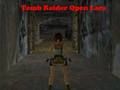 Spiel Tomb Raider Öffne Lara  Online
