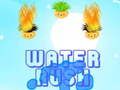 Spiel Wasserrausch  Online