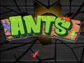 Spiel Ameisen  Online