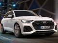 Spiel Audi SQ5 TDI Rutsche  Online