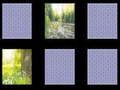 Spiel Erinnerung an die Natur  Online