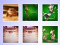 Spiel Das erstaunliche Maurice Card Match  Online