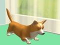 Spiel Tierpflege  Online