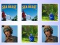 Spiel Das Sea Beast Speicherkarten-Match  Online