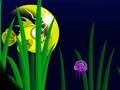 Spiel Blitzfisch Freddie  Online