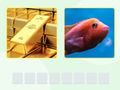 Spiel Bildwort  Online