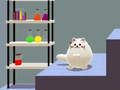 Spiel Schrödingers Doppelkatze  Online