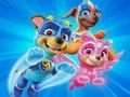 Spiel Malbuch für Paw Patrol  Online