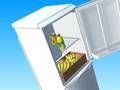 Spiel Kühlschrank füllen  Online