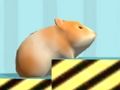 Spiel Hamster Zur Bestätigung  Online