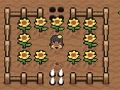 Spiel Charlotte Valley Online