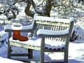 Spiel Entkomme Weihnachten aus dem Garten  Online